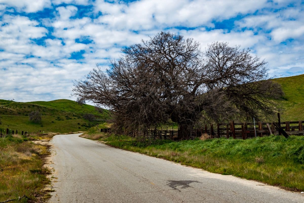 A country road through the green hills of Tehachapi in Kern County