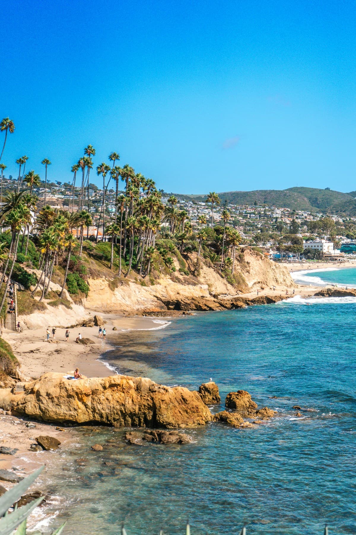 Palm trees and turquoise water along Laguna Beach in Orange County